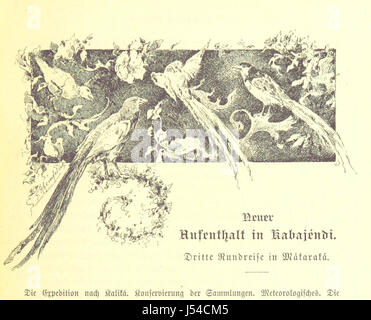 Immagine presa da pagina 431 di 'Dr. Wilh. La Junker Reisen in Afrika 1875-1886. Nach seinen Tagebüchern unter der Mitwirkung von R. Buchta herausgegeben von dem Reisenden ... Mit ... Original-Illustrationen, etc' Foto Stock