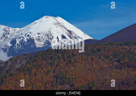 Snow capped picco del vulcano Llaima (3125 metri) che si eleva al di sopra i campi di lava e foreste di Conguillio Parco Nazionale nella regione Araucania del sud Foto Stock