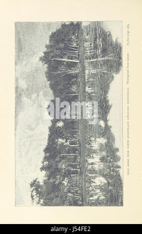 Fra cannibali. Un conto di quattro anni di viaggi in Australia, etc. [Tradotto dal danese.] Foto Stock