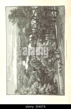 Una raccolta di illustrazioni inglesi, create con penna e matita, che mostrano vari soggetti e scene. Le opere mostrano le tecniche artistiche del disegno, catturando momenti con un'arte semplice ma dettagliata. Foto Stock