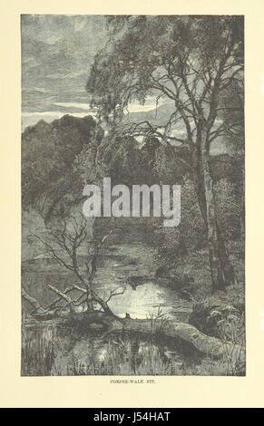 Springhaven, una storia ambientata durante la prima guerra mondiale, è un romanzo storico che offre uno sguardo sulla vita e sulle sfide delle persone durante la grande Guerra. Questa terza edizione include ulteriori contesto e illustrazioni. Foto Stock