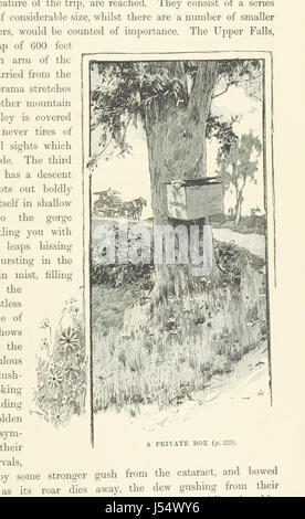 Immagine presa da pagina 603 di 'Cassell del pittoresco Australasia. A cura di E. E. M. con illustrazioni ..." Foto Stock