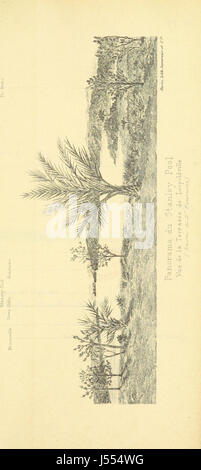 Immagine presa da pagina 751 di "Lettres sur le Congo. Récit d'onu voyage scientifique entre embouchure du Fleuve et le cellule confluenti du Kassaï. [Con mappe, ecc.]" Foto Stock