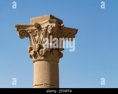 Capitali nel cortile esterno al tempio di Denderah, nei pressi di Qena, Egitto Foto Stock