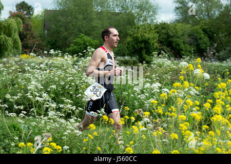 Uomo in esecuzione in Stratford Triathlon, Stratford upon Avon, Regno Unito Foto Stock