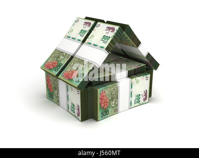 Immobiliare di concetto argentina pesos Foto Stock