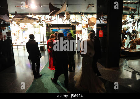 New York, Stati Uniti d'America. 16 Maggio, 2017. Persona dell'anno 2017 (personalità dell'anno) dal Brasile-Camera di Commercio degli Stati Uniti a una cena di gala presso il Museo di Storia Naturale di Manhattan a New York City nel Martedì, 16. São Paulo il sindaco João Dória Jr. ha ricevuto il premio insieme a Thomas Shannon, ex ambasciatore statunitense in Brasile Credito: Brasile Photo Press/Alamy Live News Foto Stock