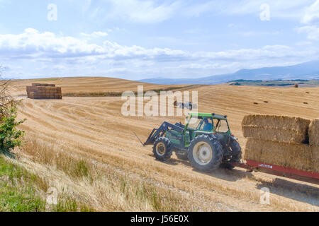 Il contadino raccoglie le balle di paglia in una pila per un facile trasporto. fotografato in toscana, italia in augusat Foto Stock