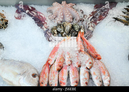 Piatto di frutti di mare fotografato in Paphos, Cipro Foto Stock