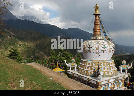 Stupa vicino al complesso di Tsuglagkhang a McLeod Ganj, Himachal Pradesh. Foto Stock