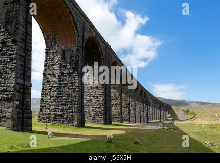 Viadotto Ribblehead, Yorkshire Dales National Park, North Yorkshire, Inghilterra, Regno Unito Foto Stock