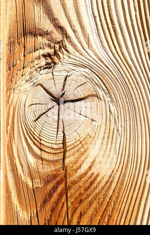 Dettaglio del nodo di legno sulla tavola di abete, di consistenza per il tuo design Foto Stock