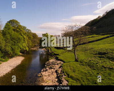 Vista lungo il fiume Wharfe in Wharfedale superiore Yorkshire Dales National Park North Yorkshire Inghilterra Gran Bretagna GB UK Foto Stock