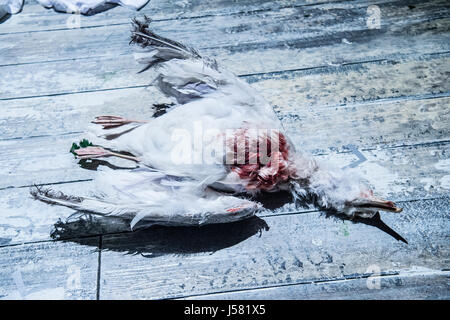 Secondo anno Aberystwyth University Teatro Cinema e Televisione studi universitari " Esecuzione di una produzione di Anton Chekhov, dramma classico Il Gabbiano Foto Stock