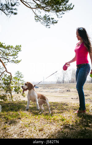 I giovani animali di razze di cani beagle passeggiate nel parco all'aperto. La ragazza cammina con cautela il cucciolo al guinzaglio, gioca e treni con lui Foto Stock