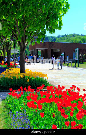 Il marciapiede Tulip letto a Echigo Hillside Park Nagaoka città Niigata Giappone Foto Stock