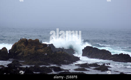 BIG SUR, CALIFORNIA, STATI UNITI - Ott 7, 2014: immenso oceano onde frantumazione su rocce di Pfeiffer membro Park in CA lungo la strada n. 1, STATI UNITI D'AMERICA Foto Stock