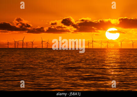 Tramonto sul Walney offshore wind farm da Walney island che mostra entrambe le turbine eoliche e una piattaforma di gas ulteriormente fuori a Morecambe Bay. Il windf Foto Stock