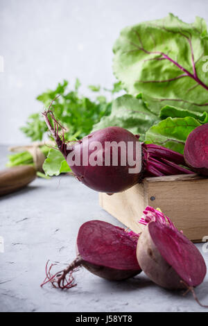 Freschi raccolti organici di barbabietole su sfondo grigio chiaro Foto Stock