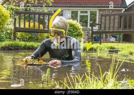 Donna matura divertirsi indossando muta, occhiali, snorkel, nel piccolo laghetto in giardino, lo spostamento di piante dello stagno. Avendo una risata. Solo per divertimento. Come uno scherzo. Regno Unito. Foto Stock