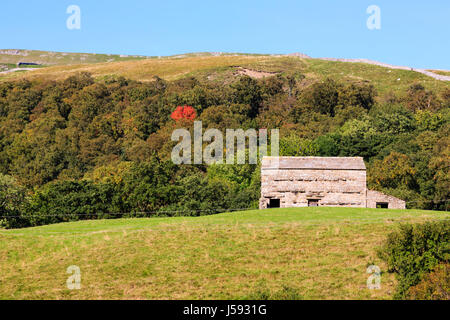 Il vecchio fienile in un campo a Twaite nel Yorkshire Dales, Inghilterra. Foto Stock