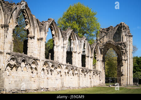 Le pareti in rovina dell'Abbazia di St. Mary, York Museo Giardini, York, England, Regno Unito Foto Stock