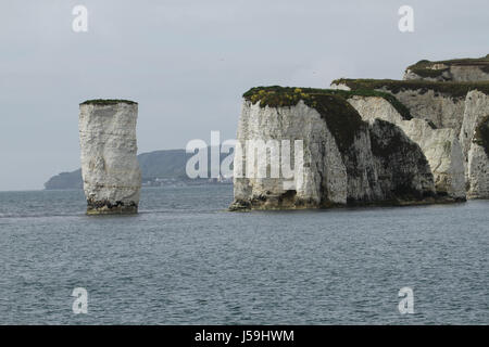Swanage, Regno Unito - 12 Maggio: Vista del vecchio Harry rocce da una barca a solcare le Poole Swanage rotta. Le rocce sono tre formazioni di gesso, comprendente una pila ed un moncone, situato al punto di Handfast, sull'Isola di Purbeck nel Dorset. Vista generale di ​the cittadina balneare di ​ Swanage​ nel Dorset, Inghilterra.​ © David Mbiyu/Alamy Live News Foto Stock