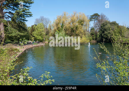 Bourne Hall Lago, Spring Street, Ewell, Surrey, England, Regno Unito Foto Stock