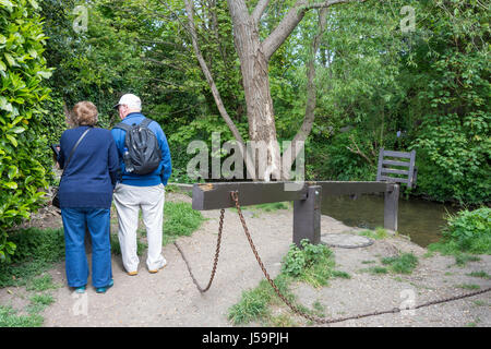 Il Ducking, Sgabello Sgabello Ducking Lane sul fiume Avon, Christchurch, Dorset, England, Regno Unito Foto Stock