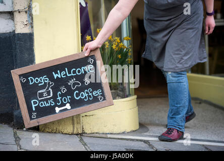 Dog friendly cafe su terreni sassosi St a Frome, Somerset REGNO UNITO Foto Stock