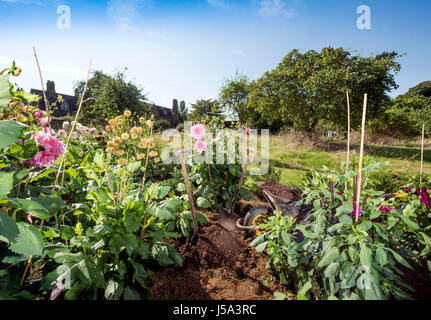 Re. La Terra giardinieri Henrietta Courtauld e Bridget Elworthy realizzare il compost a Wardington Manor vicino a Banbury, Oxfordshire - diffusione di compost tra Foto Stock