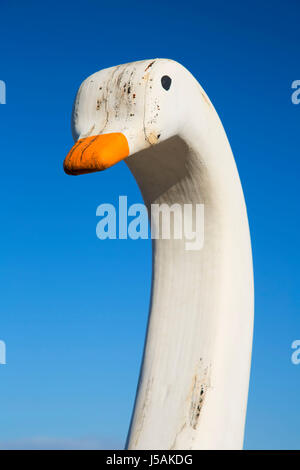 Barca con fondo di vetro per display, Lovers Point Park, Monterey, California Foto Stock