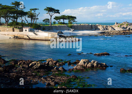 Costa rocciosa, Lovers Point Park, Monterey, California Foto Stock