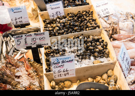 Frutti di mare,freschi, pesce,Swansea,piscina,mercato,Galles,U.K.,UK, Foto Stock