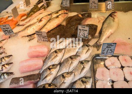 Frutti di mare,freschi, pesce,Swansea,piscina,mercato,Galles,U.K.,UK, Foto Stock