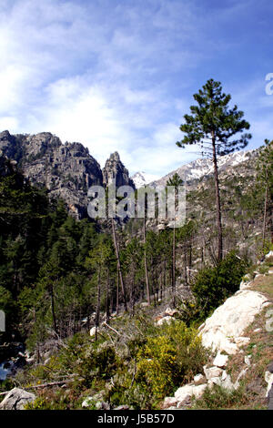 Valle corsica frastagliate gulches boulder mountain restonica schneebedekt Foto Stock