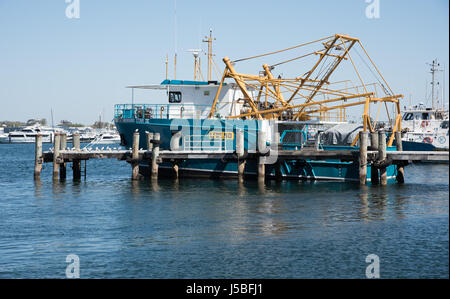 La pesca commerciale barca con gabbiani sul molo e marina vista in barca da pesca porto in un giorno chiaro a Fremantle, Australia occidentale Foto Stock