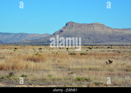 Aprire ranch terra lungo la US Highway 385 fuori di Fort Stockton Texas al parco nazionale di Big Bend Foto Stock