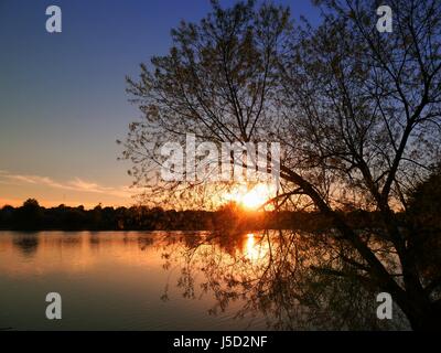 Striature del tramonto sul lago con silhouette di albero del sole che tramonta dietro un grande albero stagliano sopra un lago Foto Stock