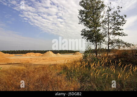 paesaggio sabbia Foto Stock