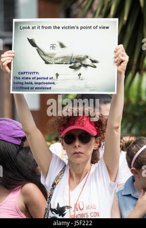 Diritti degli animali manifestanti al di fuori del Loro Parque acquario a Puerto de la Cruz Tenerife, Isole Canarie, Spagna Foto Stock