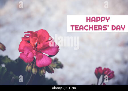 Gli insegnanti felice' giorno della carta con fiori colorati in background Foto Stock