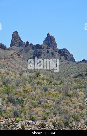 I muli orecchie è un segno distintivo di formazione di roccia nel deserto del Chihuahuan Regione del Parco nazionale di Big Bend Foto Stock