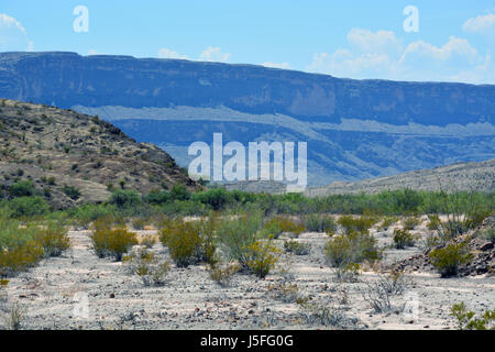 Il paese indietro del deserto del Chihuahuan in Big Bend Parchi Nazionali crea panorami spettacolari. Foto Stock