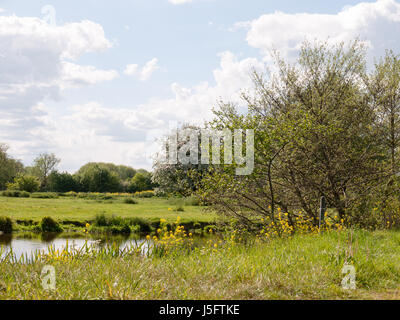 Un fiume che scorre attraverso il paese di scena al di fuori del Regno Unito essex di Inghilterra su un giorno d'estate e pomeriggio molto bello Foto Stock