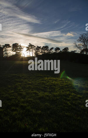 Un colpo di un nebuloso, al tramonto con il sole scompare dietro una linea di alberi silouhetted. Foto Stock