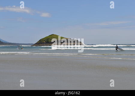 Surfisti in muta cattura le onde del Pacifico Foto Stock