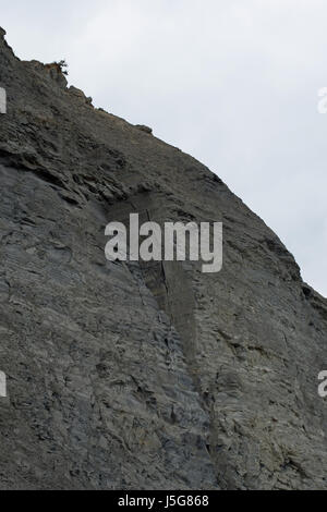 Fossile-arricchito di scogliere, Charmouth Foto Stock