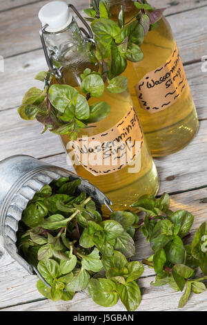 Wasserminze-Sirup, Wasserminzensirup, Wasserminzen-Sirup, Sirup, Kräutersirup, Wildkräutersirup, Wasser-Minze, Wasserminze, Minze, Mentha aquatica, Ho Foto Stock