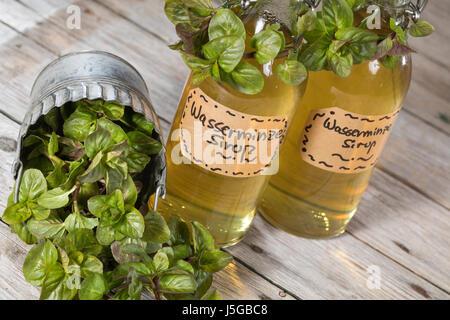 Wasserminze-Sirup, Wasserminzensirup, Wasserminzen-Sirup, Sirup, Kräutersirup, Wildkräutersirup, Wasser-Minze, Wasserminze, Minze, Mentha aquatica, Ho Foto Stock